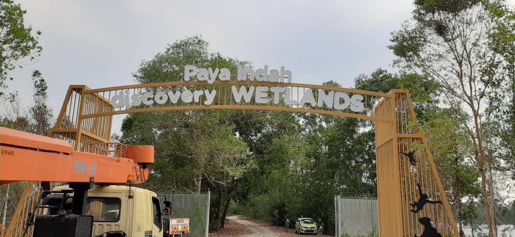 Paya Indah Wetlands